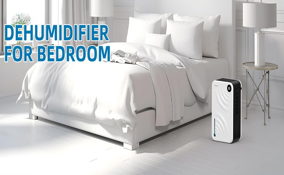 Dehumidifiers for Home