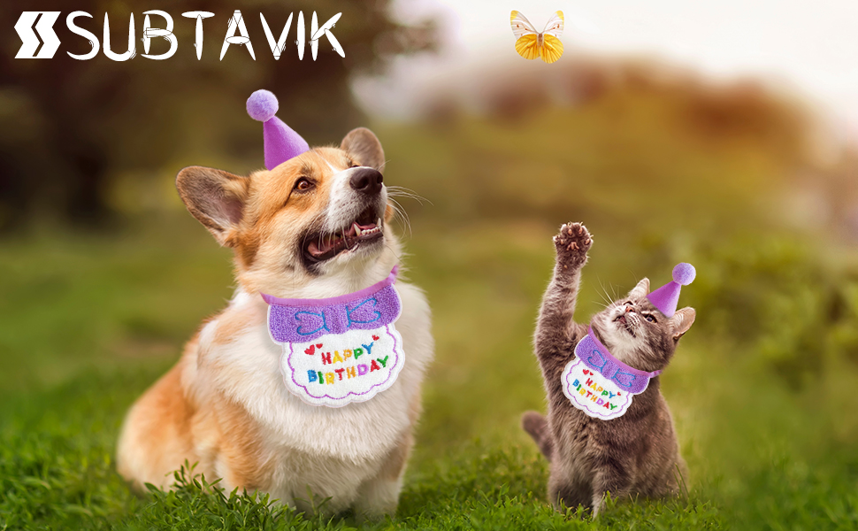 Hund-Geburtstags-Bandana