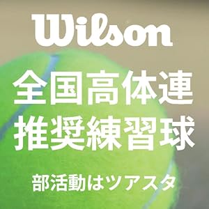 【新品】Wilson　ウィルソン ツアー・スタンダード　1箱60球 楽天市場】ウイルソン Wilson テニスボール TOUR STANDARD
