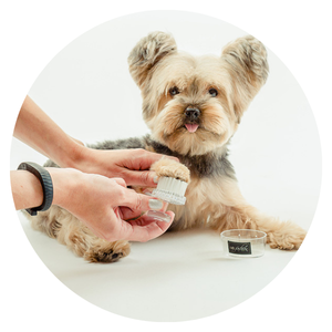 paw cleaner