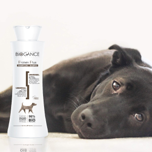 Amazon | ペット用品 バイオガンス プロテインプラスシャンプー 4L 犬