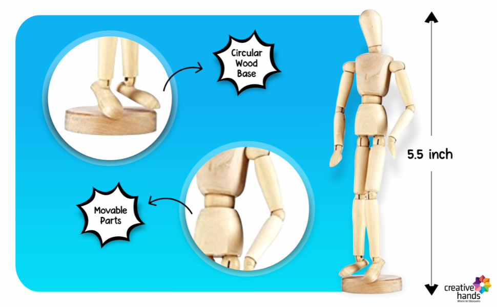 Brustro Artists Human Manikin (Mannequin) 5.5 inch Amazon.in Home