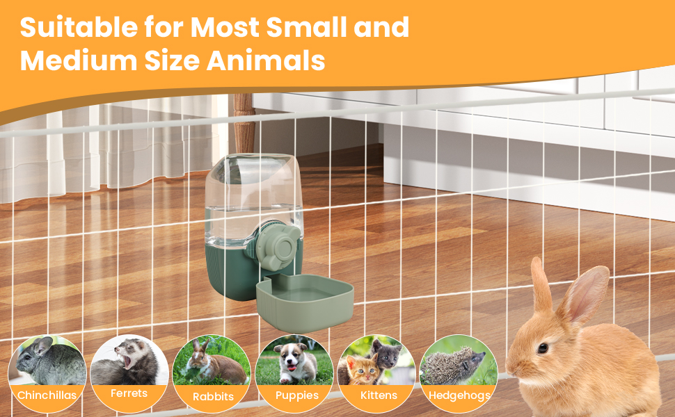 cage hang food dispenser