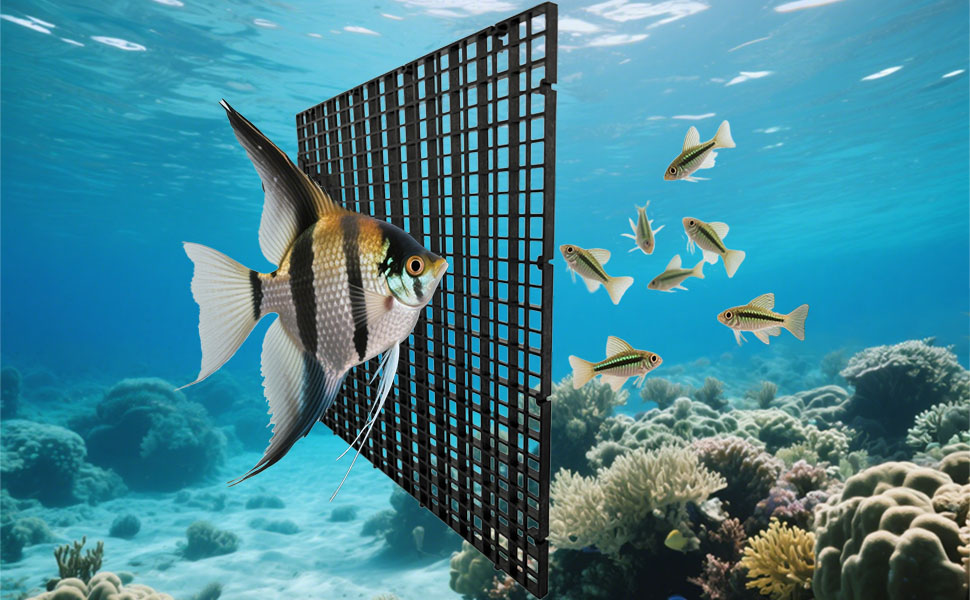 small hole aquarium grid for baby