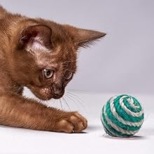 Vebetter Bola De Sisal Para Gatos, 9 Bolas De Cuerda De Sisal, 4,3cm Bolas De Juguete Para 
