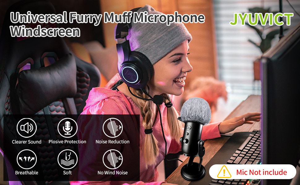 Pop Filter/Windscreen