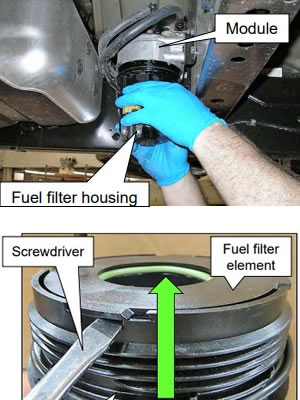Amazon.com: iFJF FS53029NN Fuel/Water Separator Filter