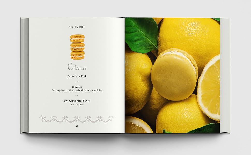 Large manufacture image 2