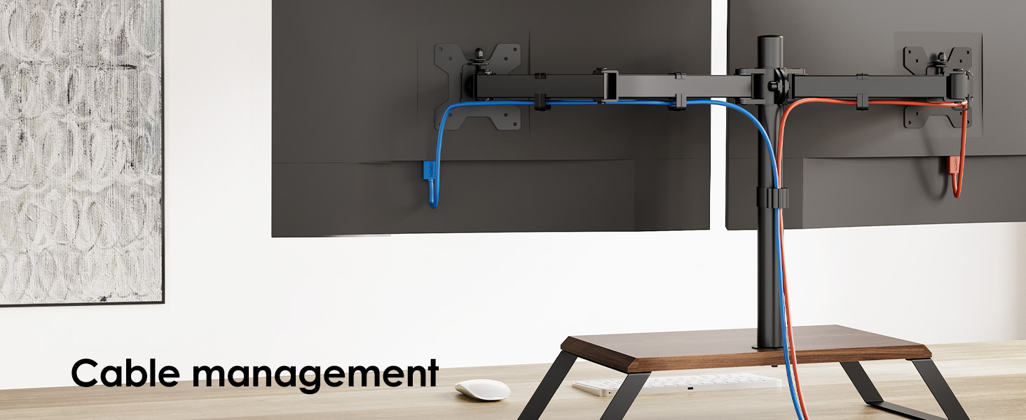 monitor arms