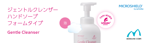 エリナ ERINA ジェントルウォッシュ ハンドクレンザー 4本 ERINA エリナ ジェントルウォッシュ (弱酸性洗浄料) 250ml 手も