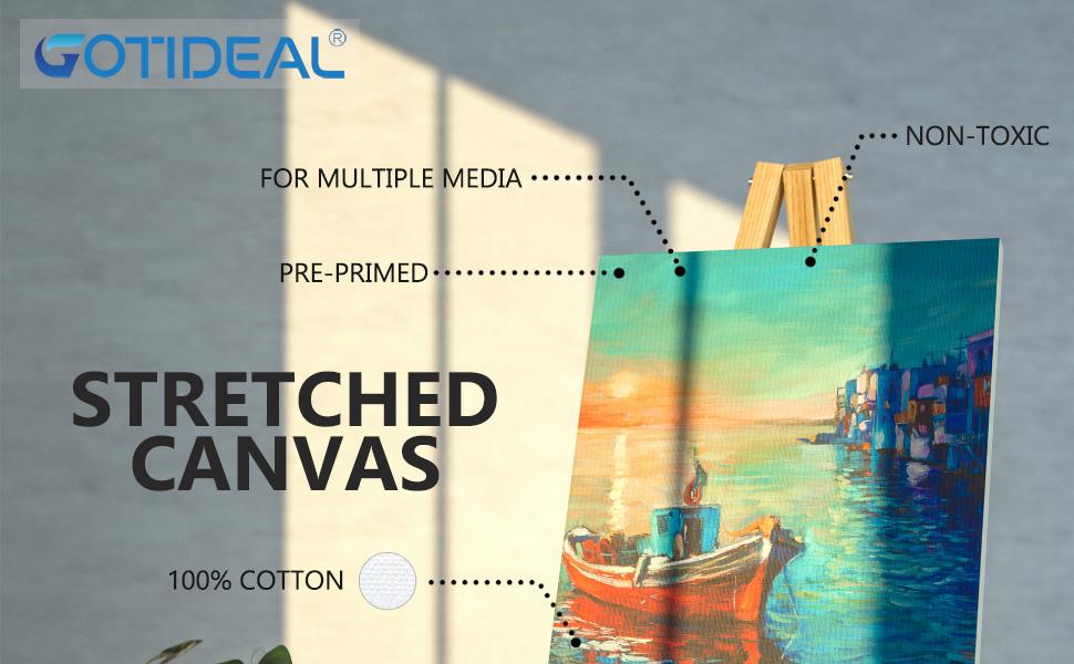 Amazon.com: GOTIDEAL18Pcs Stretched Canvases for Painting