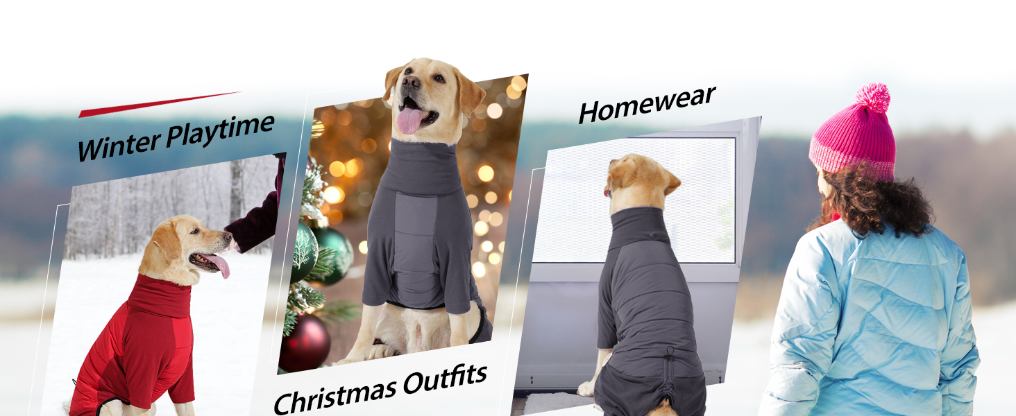 Dotoner Waterproof Dog Coat with Legs Fleece Windproof Winter Dog Jacket with Quilted Back & High Elasticity Chest Legs Warm Onesie Jumper with harness hole for Small Medium Large Canine 19 Text reads 'Winter Playtime', 'Japanwear', 'Christmas Outfits'. Multiple panels showing dogs wearing various winter and holiday-themed clothing items.