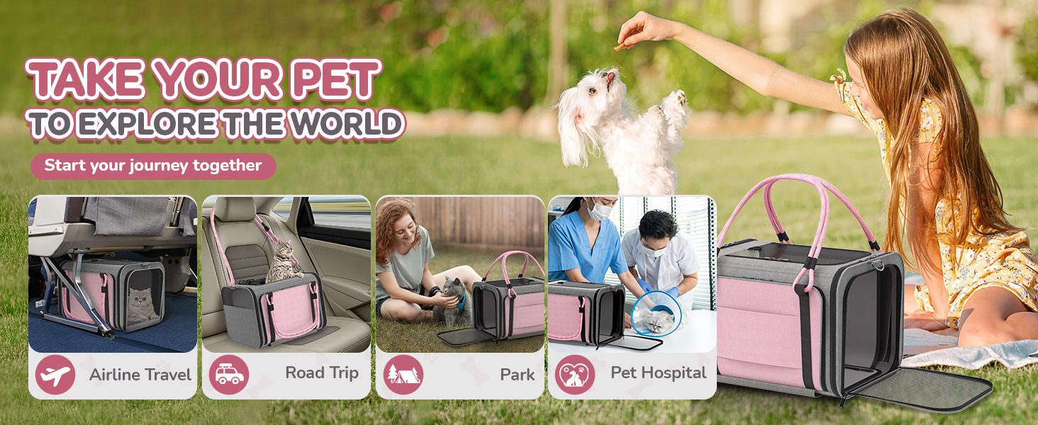 cat carrier with wheels for large cats