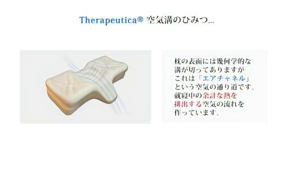 新品　未開封THERAPEUTICA（セラピューティカ）枕LL 61K9FJdthuL._UF894,1000_QL80_.jpg