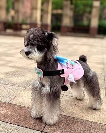 犬用ハーネス　調整可能　ベルクロデニム　小型犬用　リードセット　Mサイズ Amazon | DAZI 犬用ハーネス、調整可能なベルクロデニム犬用