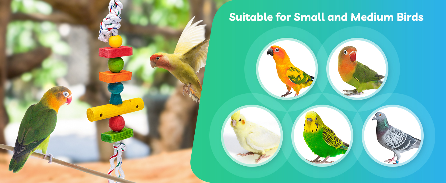 Nobleza Bird Toys, 2 Pack Parrot Chew Toys with Nature