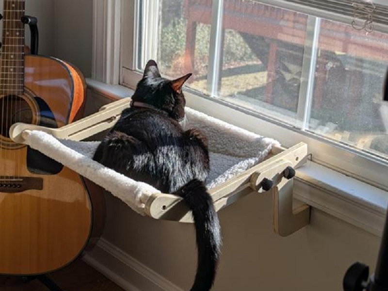 cat window seat