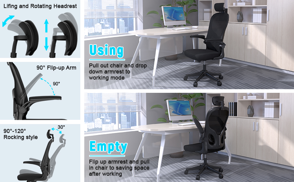 naspaluro Office Chair with Back Support, High Back Ergonomic Computer