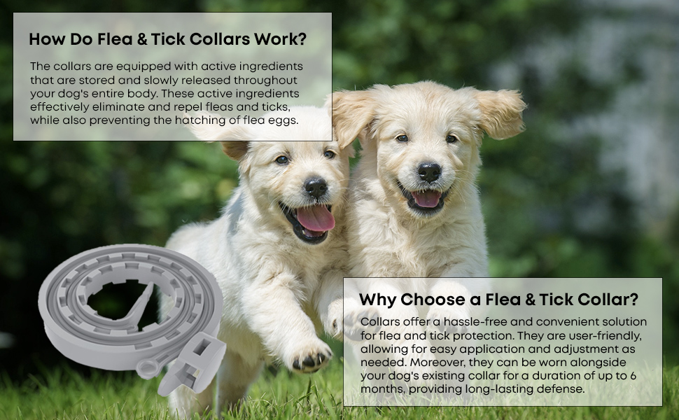 flea and tick collar for dogs