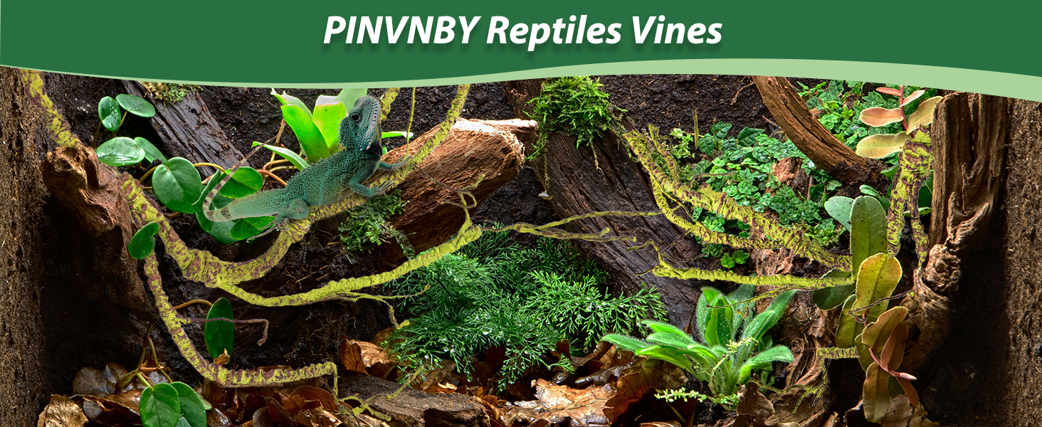 reptile vines