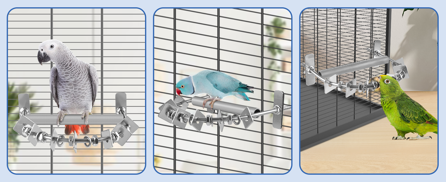 bird perch for parrot