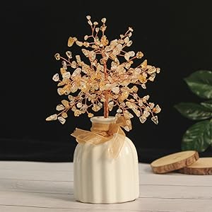 Amazon.co.jp: LIN-WELL 招財樹 金のなる木 風水アイテム