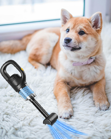 Handheld Vacuum Cordless