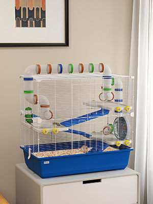   Ratten