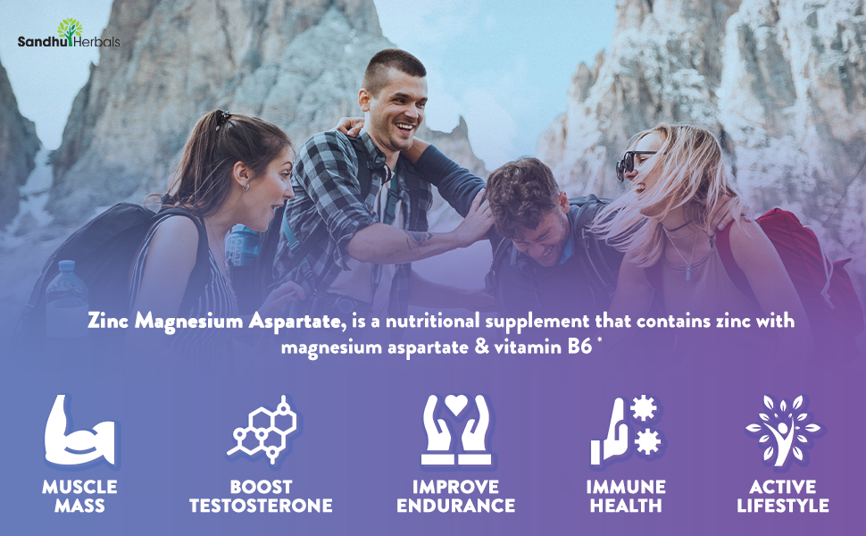 Sandhu Herbals Zinc Magnesium Aspartate Supplement 120 Capsules, Made in The USA