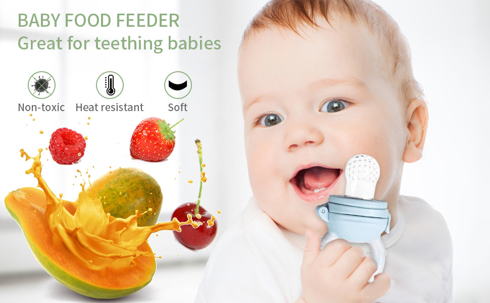 Baby Fresh Fruit and veggie Silicone Feeder/ Pacifier – Jiglin Baby