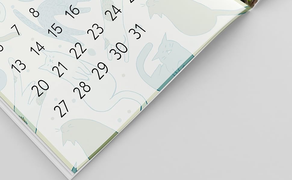 Kackende Katzen kalender 2025: Lustige Katzen | Haustier für