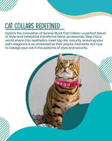 Cat Callor Color 