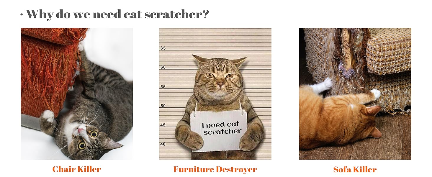 cat scratcher