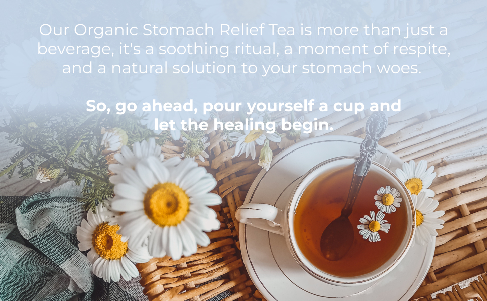 Mojo & Melo Organic Stomach Relief Tea Relieves Heartburn, Acid