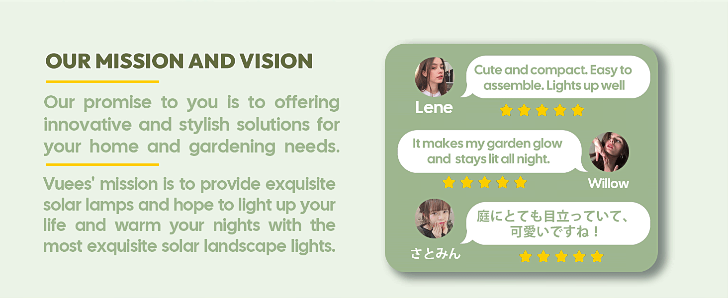 SOLAR FAIRY MOON LIGHTS