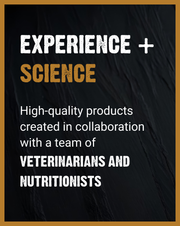 high quality high protein dog food created by veterenarians and nutritionists