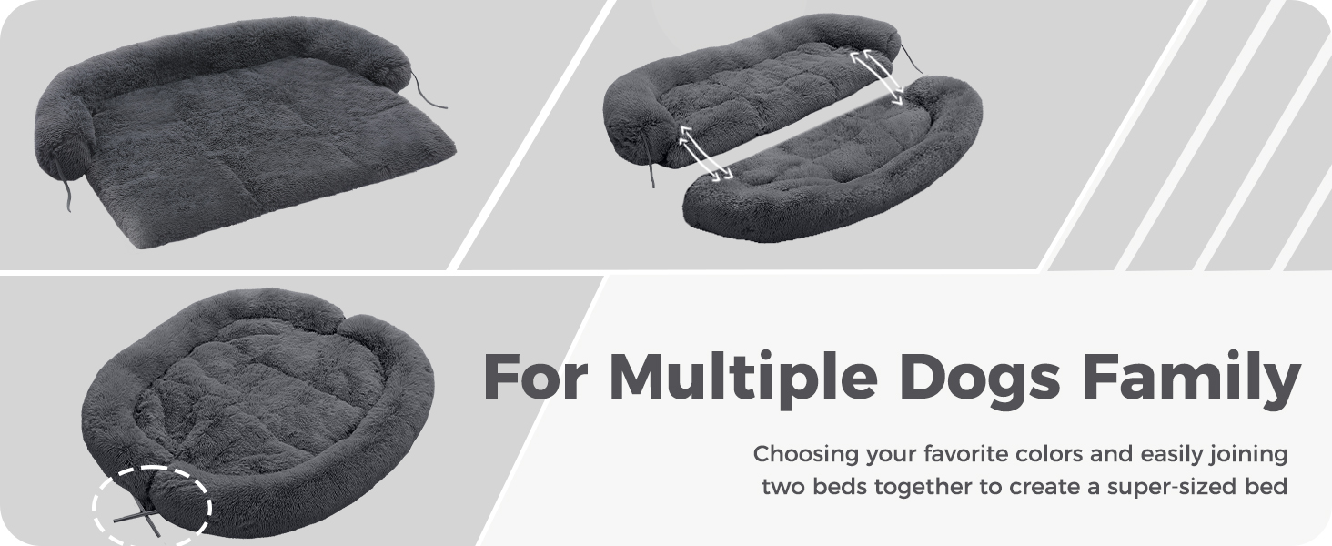 For Multiple Dogs Family