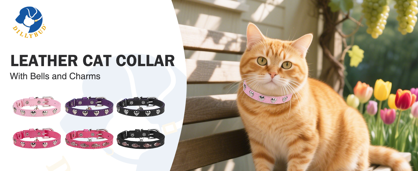 cat collar