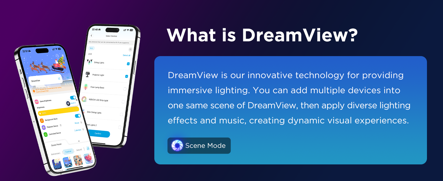 Dreamview