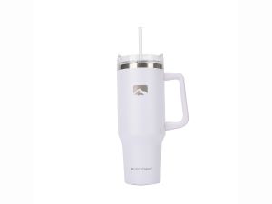 Tumbler with straw and handle