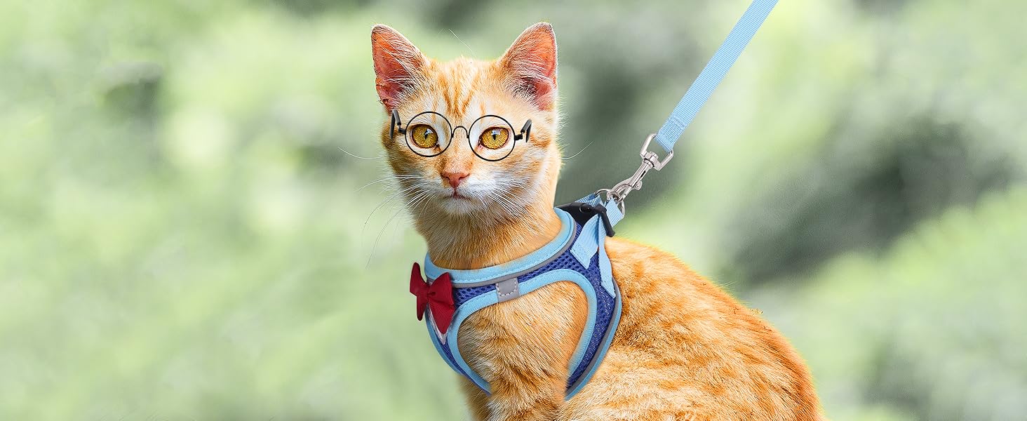 cat harness