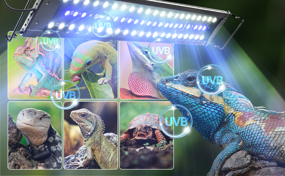 REPTI ZOO Upgraded UVB LED Reptile Light