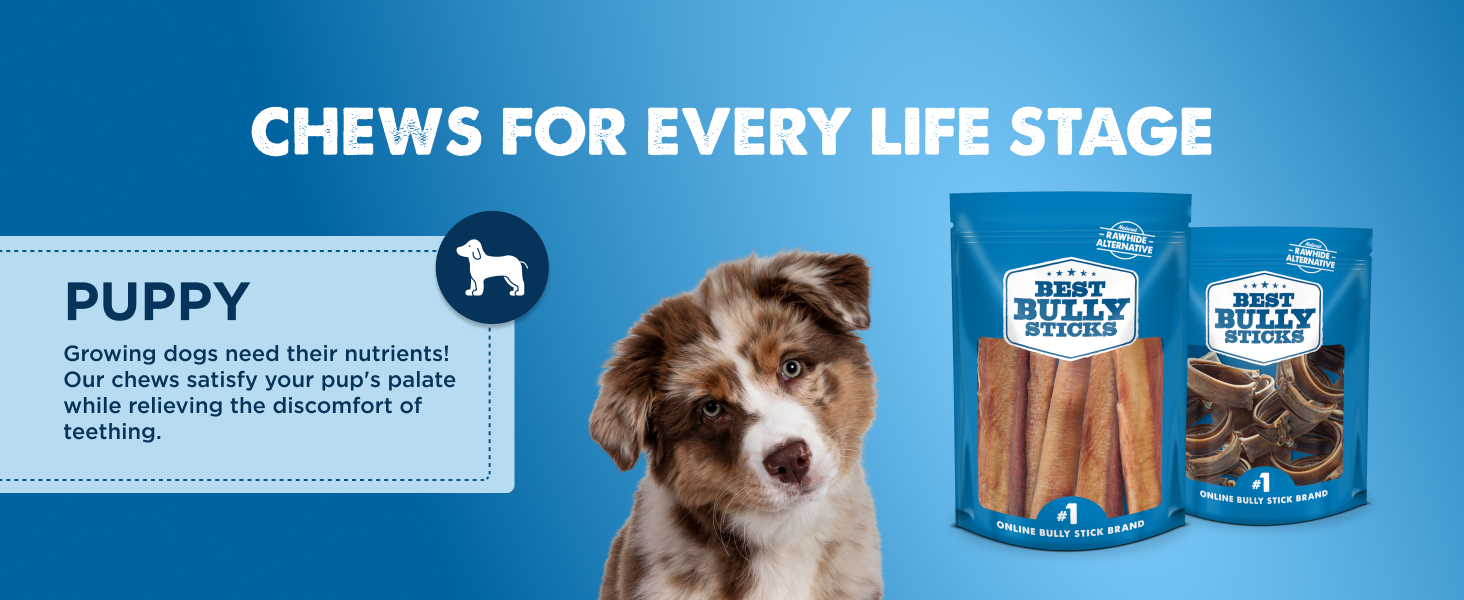 Best Bully Sticks 4 Inch Bully Sticks for Dogs 100