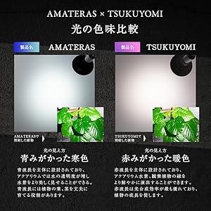 NEO AMATERAS 20W、AKONDデスクスタンド フロアスタンドSET NEO AMATERAS 20W、AKONDデスクスタンド フロアスタンドSET 楽天