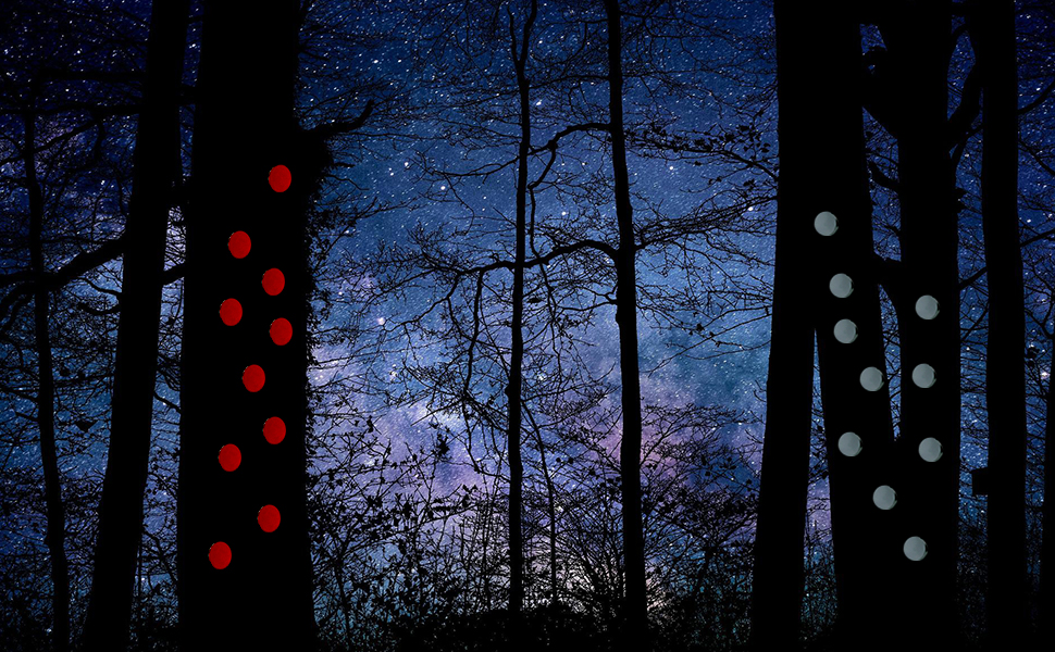 Reflective Tacks HuntingTrailMarking Reflectors Marking