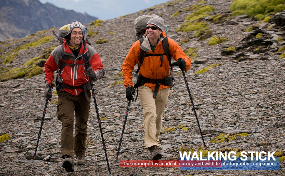 walking stick
