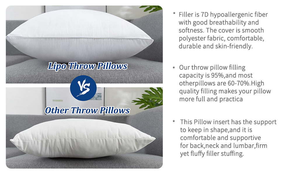 Lipo 20 x 20 Pillow Inserts (Set of 2) Throw Pillow
