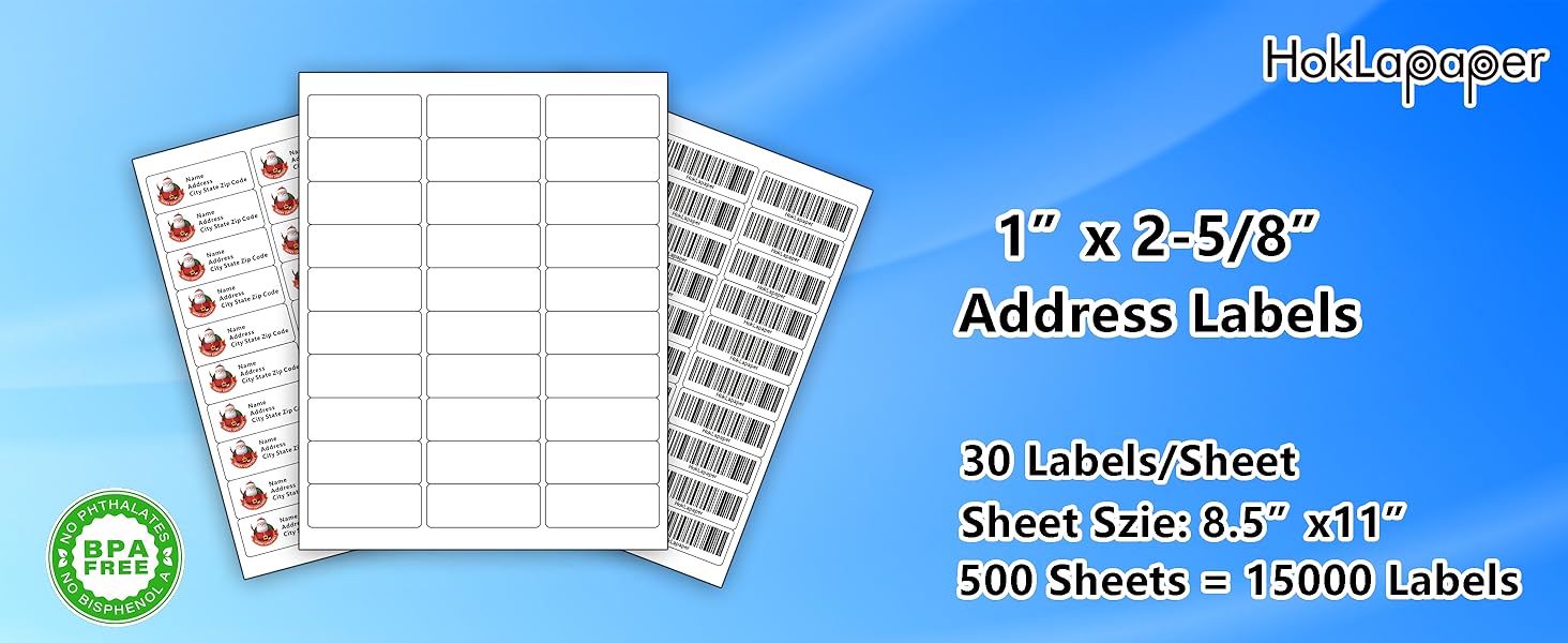 HokLapaper 1" x 25/8" Mailing Address Labels,15,000 Sticker Labels(500 Sheets