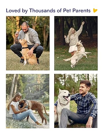 dog vitamins and supplements, dogswell hip and joint, dog glucosamine, senior dog supplements