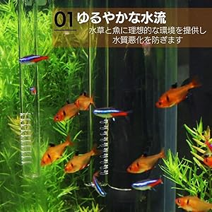 【みどりふぁ～む】ADA ガラスパイプ　フルセット みどりふぁ～む】ADA ガラスパイプ フルセット みどりふぁ～む様